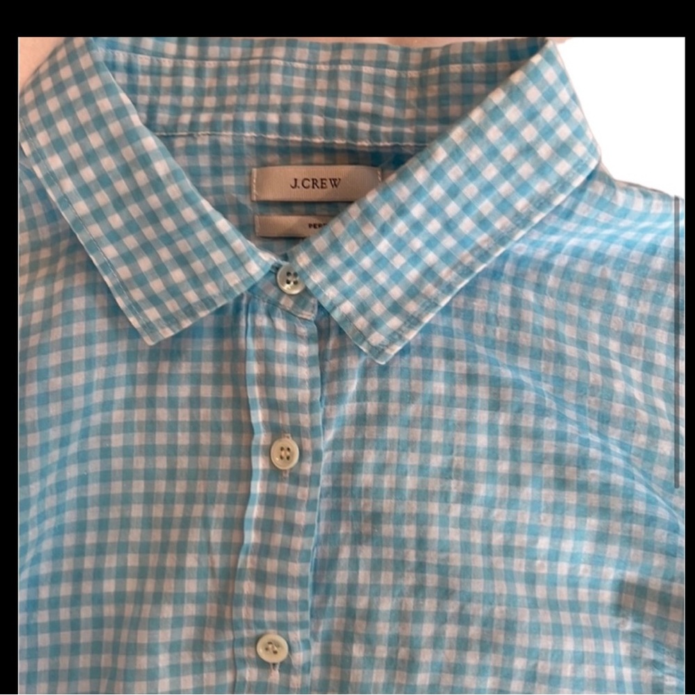 J. Crew Blue and White Gingham Button-Down Blouse